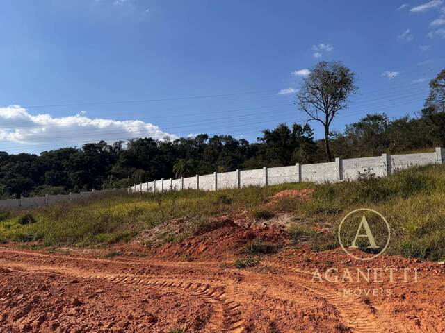 Venda em Residencial Taquaril - Betim